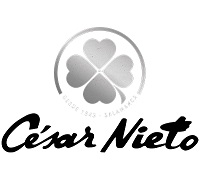CASAR NIETO logo